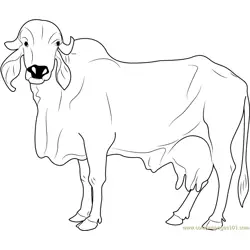 Gircow Free Coloring Page for Kids