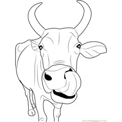 Indian Cow Face Free Coloring Page for Kids