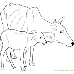 Malvi Cow Free Coloring Page for Kids