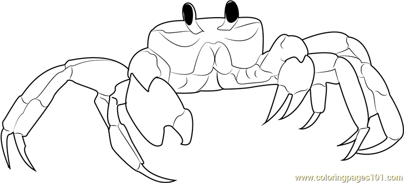 Ghost Crab Coloring Page - Free Crab Coloring Pages : ColoringPages101.com