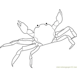 Chinese Mitten Crab Free Coloring Page for Kids