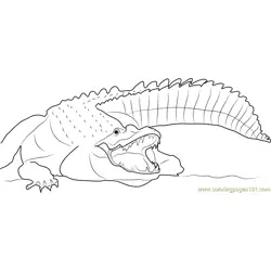 Adult Nile Crocodile Free Coloring Page for Kids