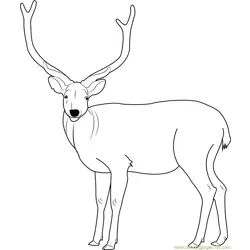 Beautiful Deer Free Coloring Page for Kids