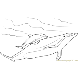 mama and baby dolphin coloring pages - photo #22