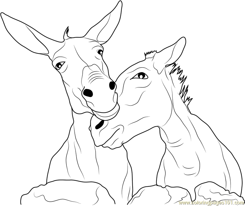 Donkey Domestic Animal Coloring Page Free Donkey