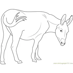 Cotentin Donkey Free Coloring Page for Kids
