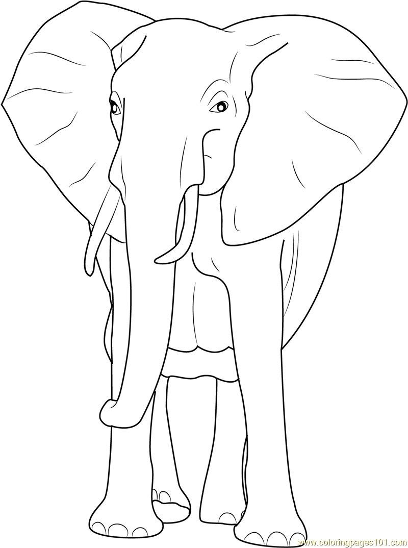 African Bush Elephant Coloring Page - Free Elephant Coloring Pages