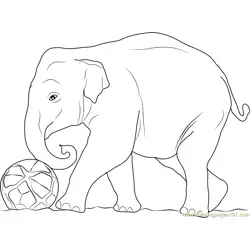 Elephant Play Football Free Coloring Page for Kids