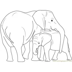 Indian Elephant with Calf Free Coloring Page for Kids