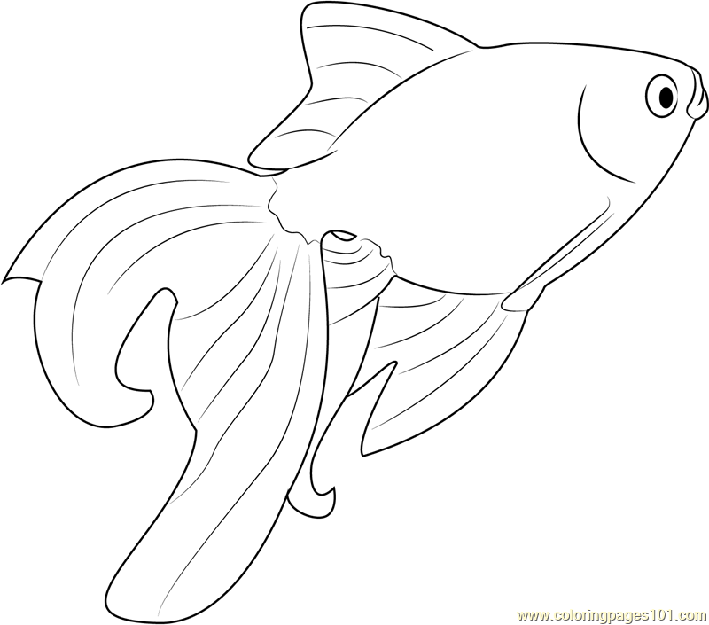 Beautiful Goldfish Coloring Page - Free Other Fish Coloring Pages