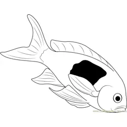 Dead Fish Free Coloring Page for Kids