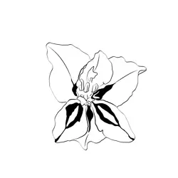 Gladiolus Flower Free Coloring Page for Kids