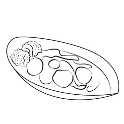 Delicious Food Free Coloring Page for Kids