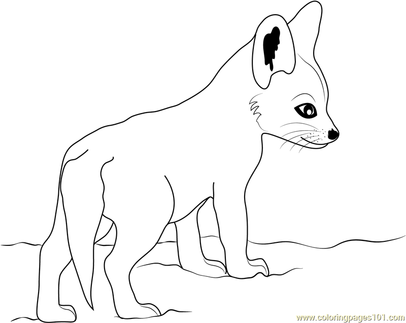Cute Baby Fox Coloring Page - Free Fox Coloring Pages