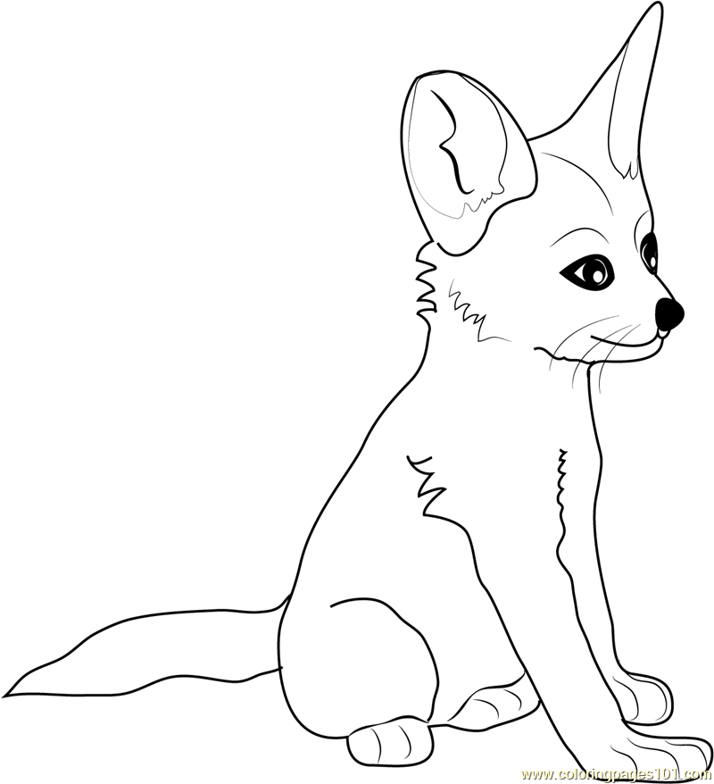 Fennec Fox Baby Coloring Page - Free Fox Coloring Pages