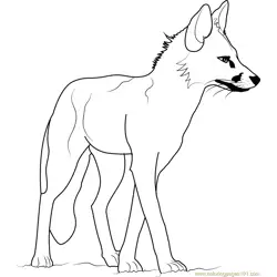 Adult Fox Free Coloring Page for Kids