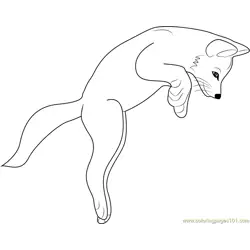 Fox Jumping Free Coloring Page for Kids