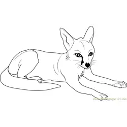 Fox Relaxing Free Coloring Page for Kids