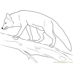 Fox on a Tree Trunk Free Coloring Page for Kids