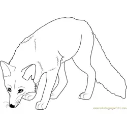Hunting Fox Free Coloring Page for Kids