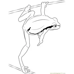 Green Frog Jump Free Coloring Page for Kids