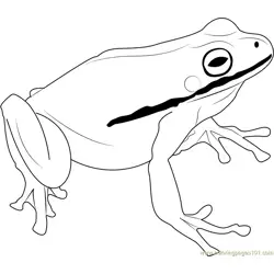 Green Frog Free Coloring Page for Kids