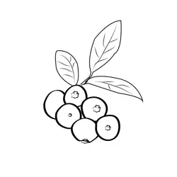 Blueberry 2 Free Coloring Page for Kids