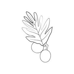 Breadfruit 3 Free Coloring Page for Kids