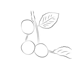 Health Benefit Cherry Free Coloring Page for Kids