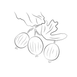 Red Gooseberry At Tree Free Coloring Page for Kids