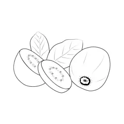 Kiwifruits 1 Free Coloring Page for Kids