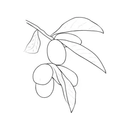 Kumquat 1 Free Coloring Page for Kids