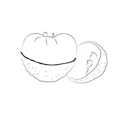 Lychee High Res Free Coloring Page for Kids