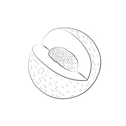 Melons Cut Free Coloring Page for Kids