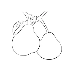 Pear Fruit Free Coloring Page for Kids