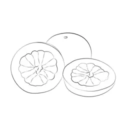 Pomelo Seet Free Coloring Page for Kids