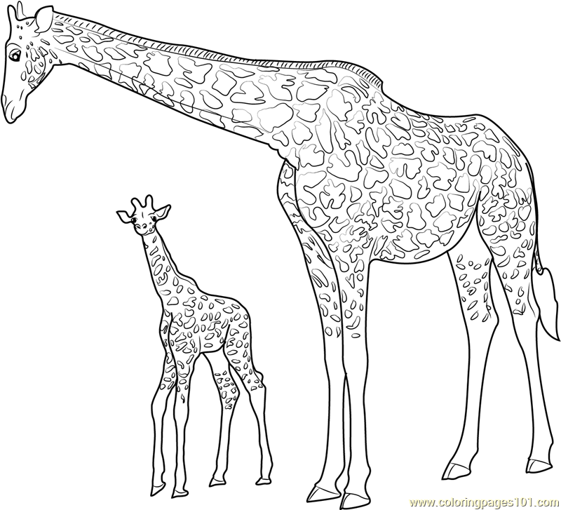 Giraffe with Baby Coloring Page - Free Giraffe Coloring Pages