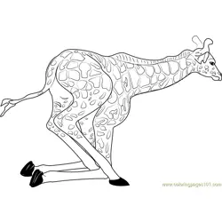 Baby Giraffe Getting Up Free Coloring Page for Kids