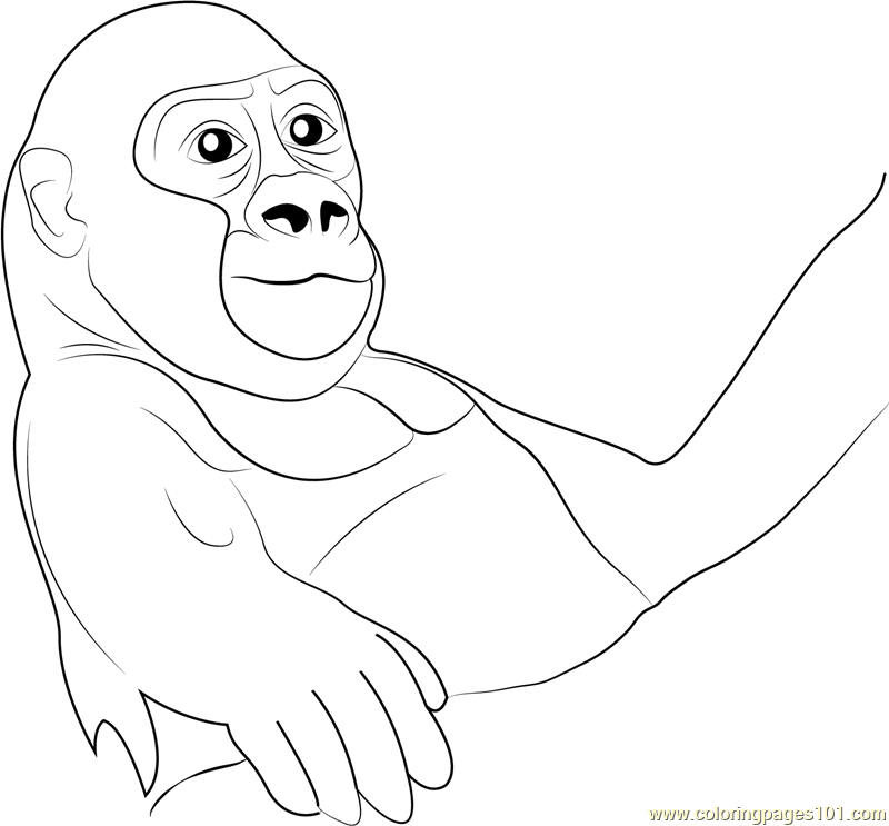 Baby Gorilla Coloring Page - Free Gorilla Coloring Pages