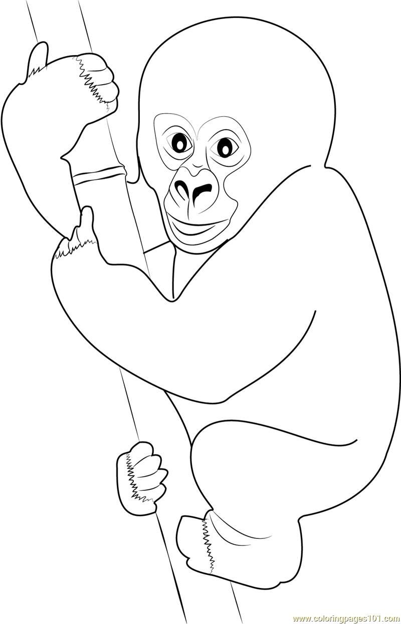 Cute Gorilla Baby Coloring Page - Free Gorilla Coloring Pages