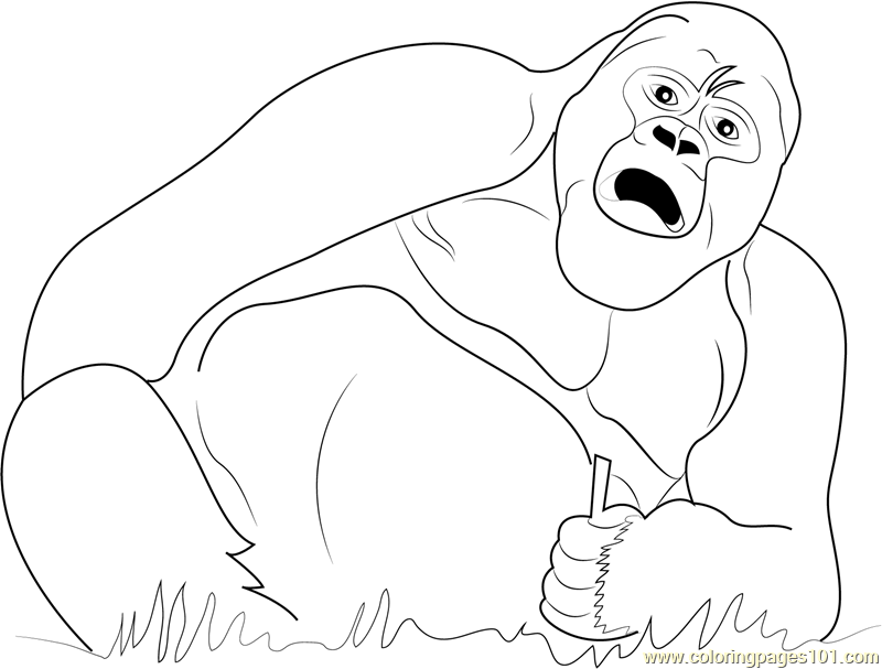 Gorilla Coloring Pages - Learny Kids