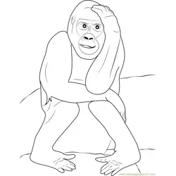 Gorilla Expression Free Coloring Page for Kids
