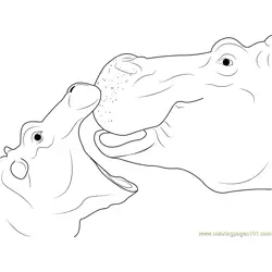 Close up of Hippopotamus Free Coloring Page for Kids