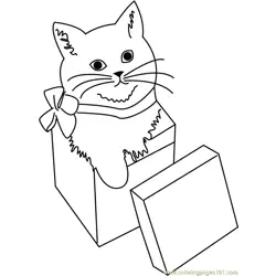 Cat in Giftbox Free Coloring Page for Kids