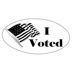 I Voted Button