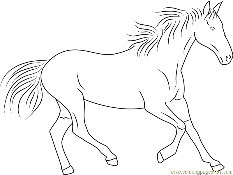Horse Running Coloring Page - Free Horse Coloring Pages