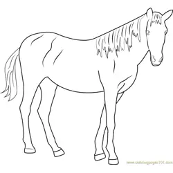 Beautiful Horse Free Coloring Page for Kids
