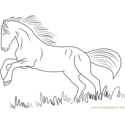 Black Horse Free Coloring Page for Kids