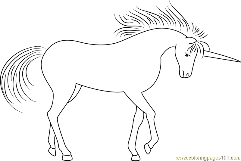 Unicorn Fantasy In The Forest Coloring Page Free Unicorn Coloring