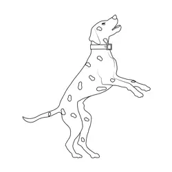 Dalmatian Dog High Jump Free Coloring Page for Kids